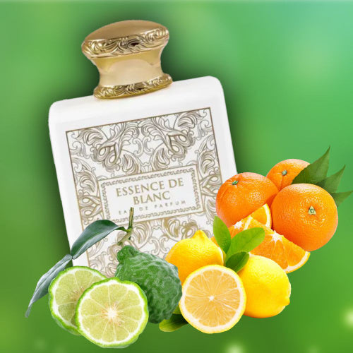 Essence de Blanc- French Avenue