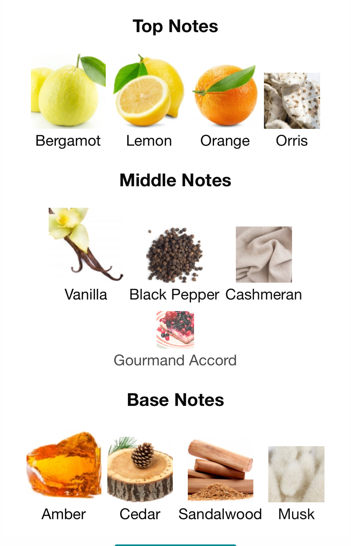 Genesis Leo- French Avenue