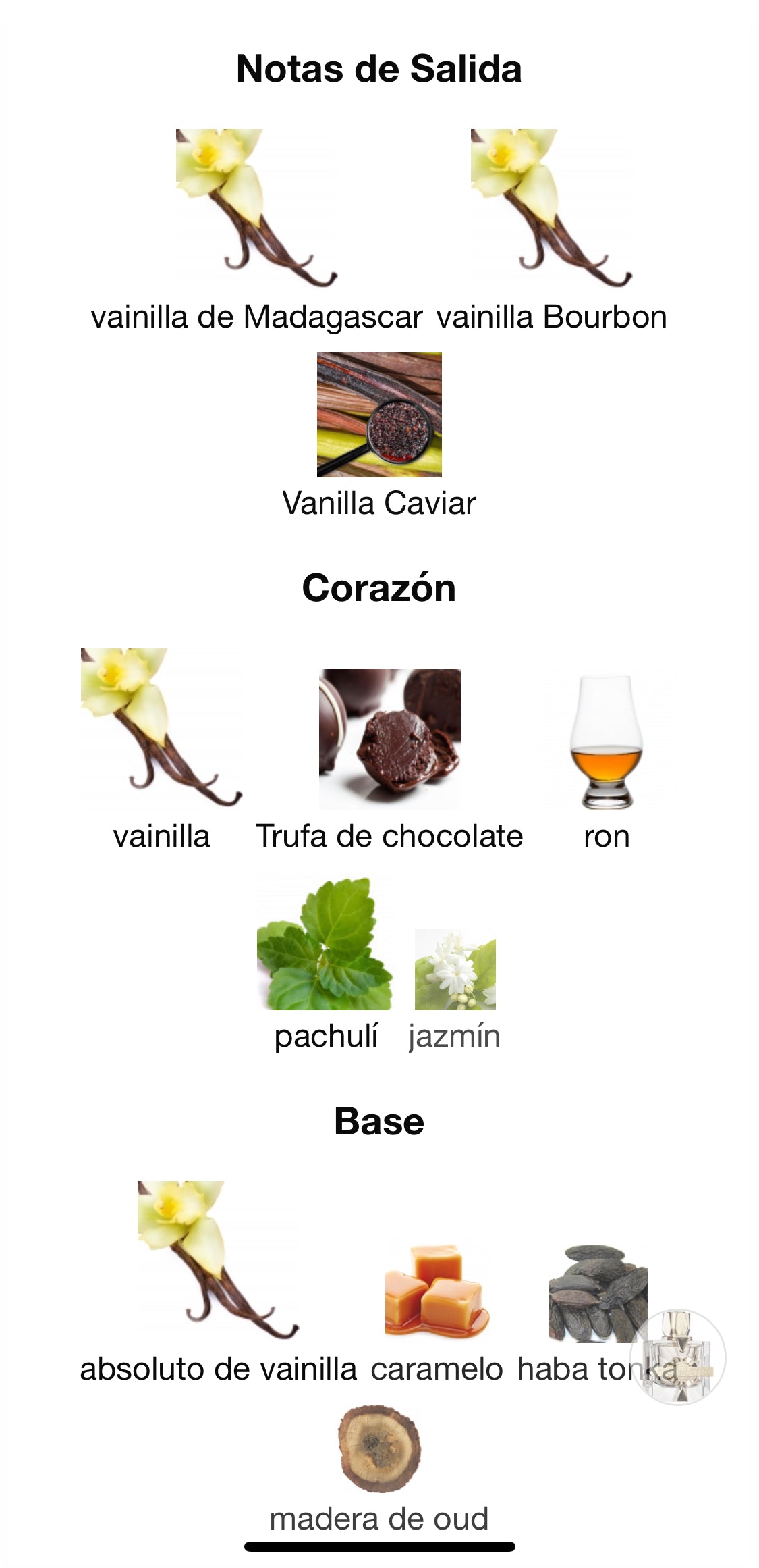 X Xandal Aromatix- French Avenue