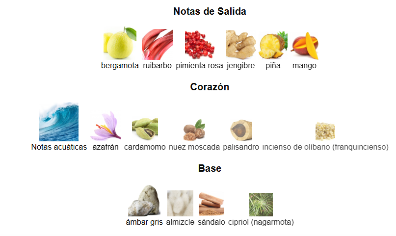 Soul of BALI-  Swiss Arabian/ Extracto de perfume