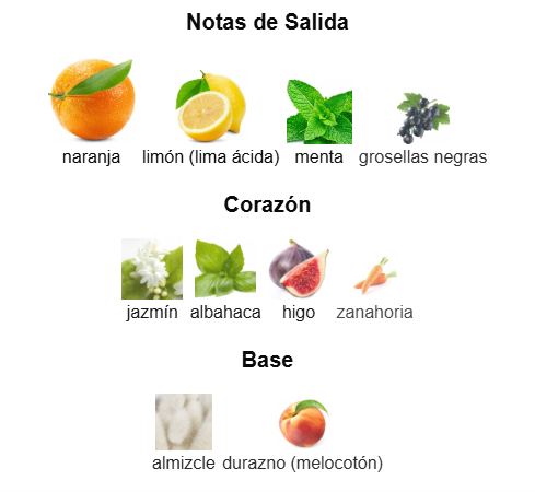 Serene Grove- Paris Corner