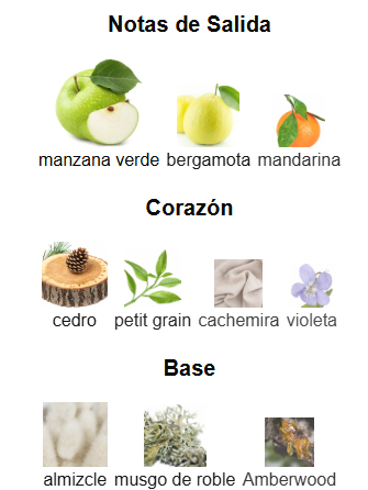 Aether Extrait- French Avenue