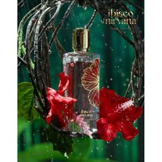 Ibisco Nirvana- Paris Corner (Extracto de Perfume)- 65ml (Insp. Hibiscus Mahajád)