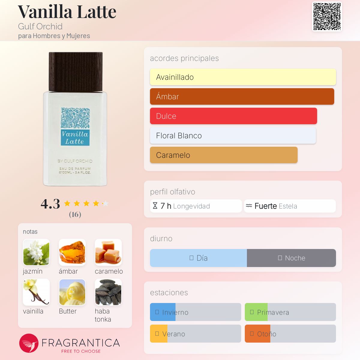 Vanilla Latte- Gulf Orchid