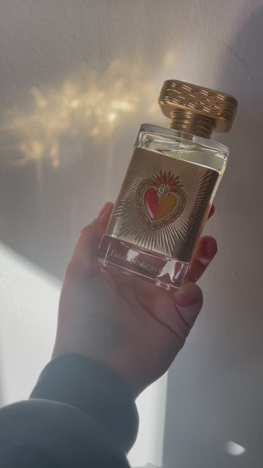 Fatal Embrace- Paris Corner